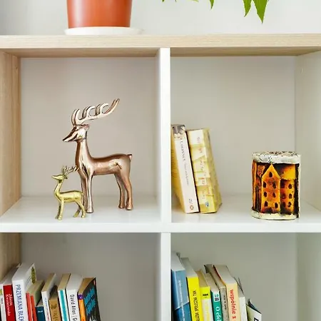 Airport Orange شقة *