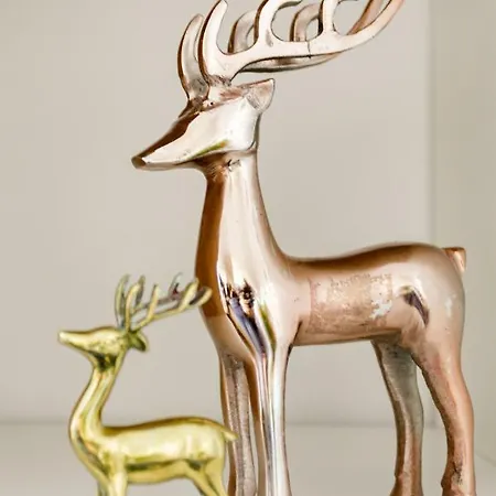 Airport Orange Apartament